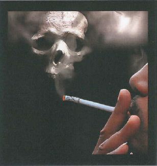 Madagascar 2012-2013 Health Effects death - skull